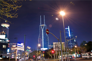 ＊＊Pursuit＊＊： The Professional Goals of Shanghai Women